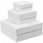 Коробка Emmet, средняя, белая с логотипом в Москве заказать по выгодной цене в кибермаркете AvroraStore