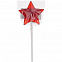 Леденец на палочке «Звезда» с логотипом в Москве заказать по выгодной цене в кибермаркете AvroraStore