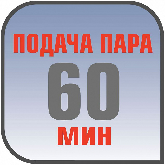 Вертикальный отпариватель EasyGliss, белый с синим с логотипом в Москве заказать по выгодной цене в кибермаркете AvroraStore