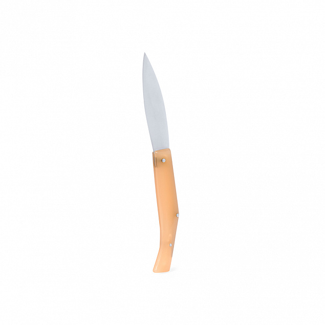 Карманный нож Мульсен с логотипом в Москве заказать по выгодной цене в кибермаркете AvroraStore