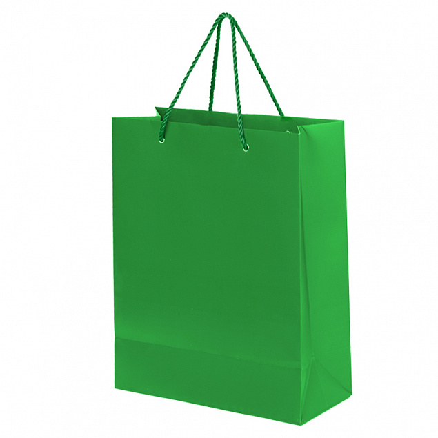 Пакет подарочный BIG GLAM с логотипом в Москве заказать по выгодной цене в кибермаркете AvroraStore