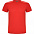 Спортивная футболка DETROIT мужская, ПАЛИСАНДР/ЧЕРНЫЙ 2XL с логотипом в Москве заказать по выгодной цене в кибермаркете AvroraStore