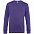 Свитшот унисекс King, фиолетовый с логотипом в Москве заказать по выгодной цене в кибермаркете AvroraStore