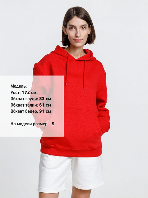 Худи унисекс Phoenix, красное с логотипом в Москве заказать по выгодной цене в кибермаркете AvroraStore