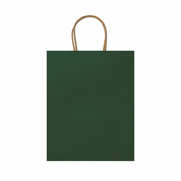 Пакет бумажный ARCE, Папоротниковый с логотипом  заказать по выгодной цене в кибермаркете AvroraStore