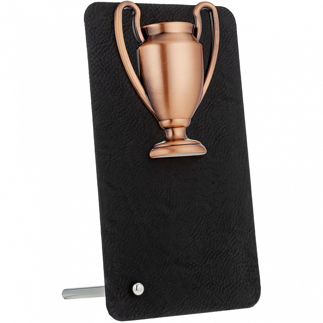 Награда Triumph Bronze с логотипом в Москве заказать по выгодной цене в кибермаркете AvroraStore