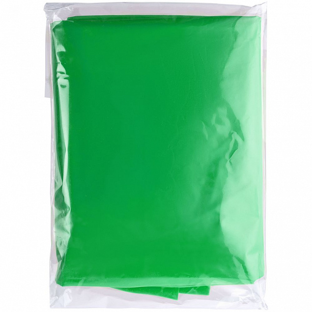 Дождевик-плащ BrightWay, зеленый с логотипом в Москве заказать по выгодной цене в кибермаркете AvroraStore