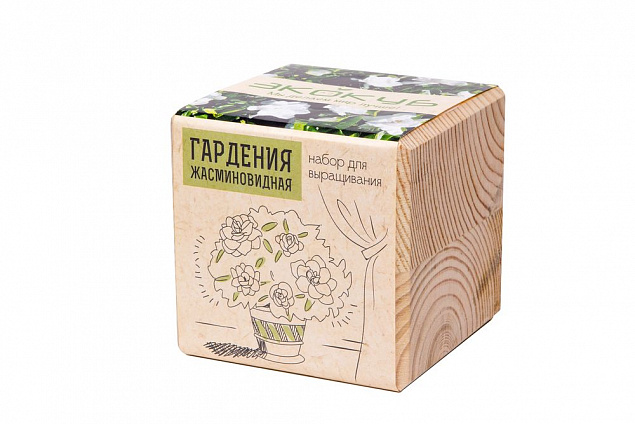 Набор для выращивания «Экокуб», гардения жасминовидная с логотипом в Москве заказать по выгодной цене в кибермаркете AvroraStore