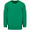 Свитшот детский Columbia Kids, ярко-зеленый с логотипом в Москве заказать по выгодной цене в кибермаркете AvroraStore