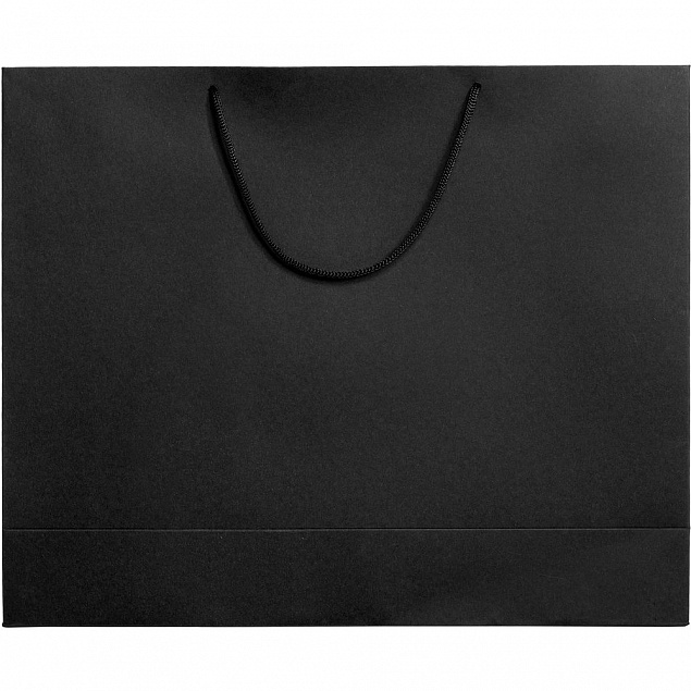Пакет Ample L, черный с логотипом в Москве заказать по выгодной цене в кибермаркете AvroraStore