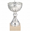 Кубок North King, серебристый с логотипом в Москве заказать по выгодной цене в кибермаркете AvroraStore