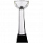Кубок Cupture, большой с логотипом в Москве заказать по выгодной цене в кибермаркете AvroraStore