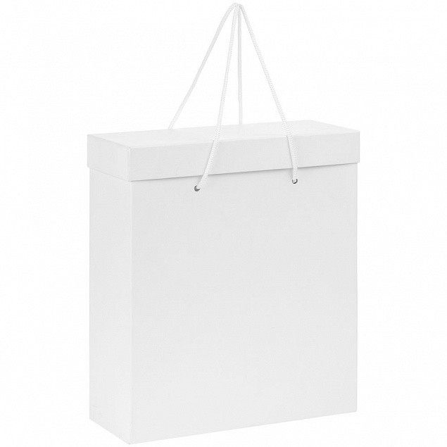Коробка Handgrip, большая, белая с логотипом  заказать по выгодной цене в кибермаркете AvroraStore
