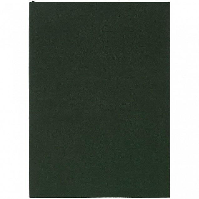 Ежедневник Flat, недатированный, зеленый с логотипом в Москве заказать по выгодной цене в кибермаркете AvroraStore
