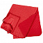 Плед для пикника Soft & Dry, темно-красный с логотипом в Москве заказать по выгодной цене в кибермаркете AvroraStore