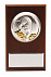 Плакетка малая «Тигр на монетах» с возможностью персонализации с логотипом в Москве заказать по выгодной цене в кибермаркете AvroraStore
