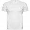 Спортивная футболка MONTECARLO мужская, БЕЛЫЙ XL с логотипом в Москве заказать по выгодной цене в кибермаркете AvroraStore