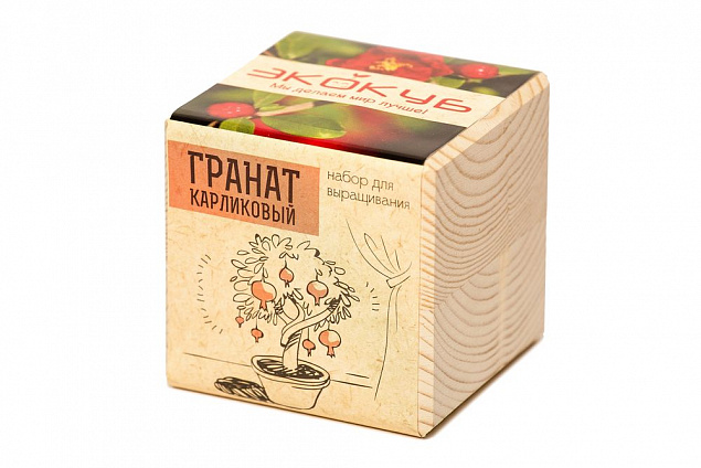 Набор для выращивания «Экокуб», гранат с логотипом в Москве заказать по выгодной цене в кибермаркете AvroraStore