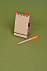 Блокнот на кольцах Eco Note с ручкой, оранжевый с логотипом в Москве заказать по выгодной цене в кибермаркете AvroraStore