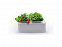 Компактный смарт-сад iGarden с логотипом в Москве заказать по выгодной цене в кибермаркете AvroraStore