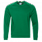 Толстовка StanSweatshirt Зелёный с логотипом в Москве заказать по выгодной цене в кибермаркете AvroraStore