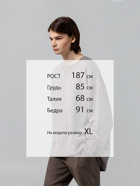 Свитшот Kosmos, серый с логотипом в Москве заказать по выгодной цене в кибермаркете AvroraStore