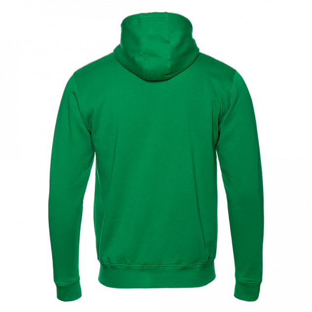 Толстовка мужская 17 Зелёный с логотипом в Москве заказать по выгодной цене в кибермаркете AvroraStore