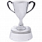 Стела  "Кубок победителя" в подарочной упаковке с логотипом в Москве заказать по выгодной цене в кибермаркете AvroraStore