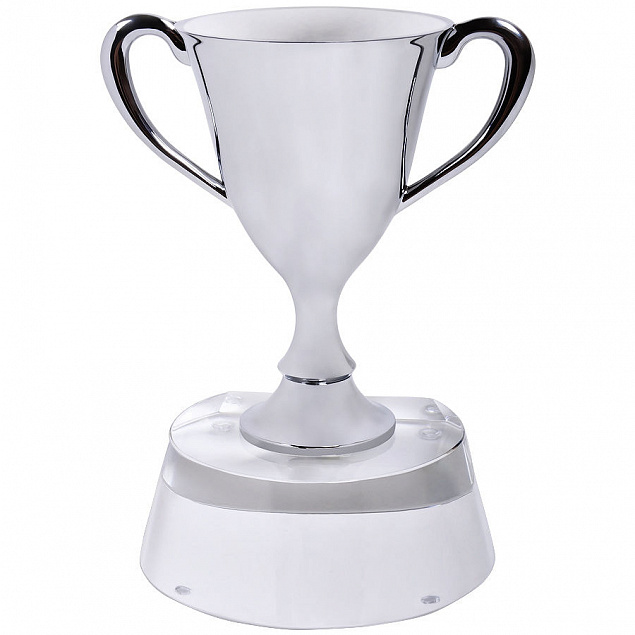 Стела  "Кубок победителя" в подарочной упаковке с логотипом в Москве заказать по выгодной цене в кибермаркете AvroraStore