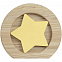 Стела Constanta Light, с золотистой звездой с логотипом в Москве заказать по выгодной цене в кибермаркете AvroraStore