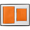 Набор Devon Mini, оранжевый с логотипом в Москве заказать по выгодной цене в кибермаркете AvroraStore