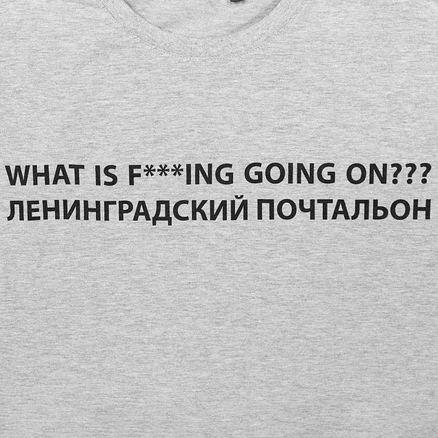 Футболка «Ленинградский почтальон», серый меланж с логотипом в Москве заказать по выгодной цене в кибермаркете AvroraStore