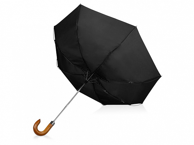 Зонт складной «Cary» с логотипом в Москве заказать по выгодной цене в кибермаркете AvroraStore