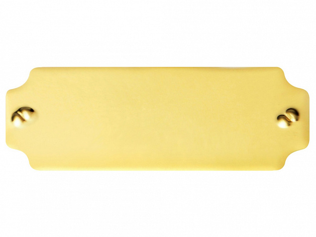 Шильд золотистый с логотипом  заказать по выгодной цене в кибермаркете AvroraStore