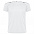Спортивная футболка SEPANG мужская, БЕЛЫЙ S с логотипом в Москве заказать по выгодной цене в кибермаркете AvroraStore