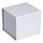 Коробка Alian, белая с логотипом в Москве заказать по выгодной цене в кибермаркете AvroraStore