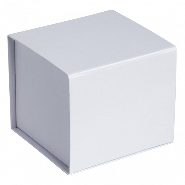 Коробка Alian, белая с логотипом в Москве заказать по выгодной цене в кибермаркете AvroraStore
