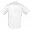 Рубашка мужская с коротким рукавом BRISBANE, белая с логотипом в Москве заказать по выгодной цене в кибермаркете AvroraStore
