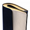 Ежедневник Nebraska Flex, недатированный, синий с золотистым с логотипом  заказать по выгодной цене в кибермаркете AvroraStore
