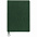 Ежедневник Lafite, недатированный, зеленый с логотипом в Москве заказать по выгодной цене в кибермаркете AvroraStore