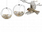Набор подвесных кормушек для птиц Mini Bird Feeders с логотипом в Москве заказать по выгодной цене в кибермаркете AvroraStore
