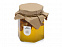 Подарочный набор «Trio honey» с логотипом в Москве заказать по выгодной цене в кибермаркете AvroraStore