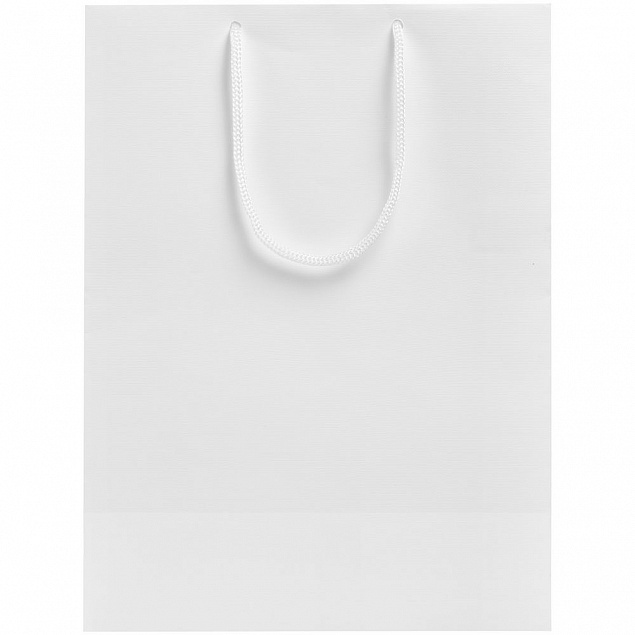Пакет «Крафт», белый, M с логотипом в Москве заказать по выгодной цене в кибермаркете AvroraStore