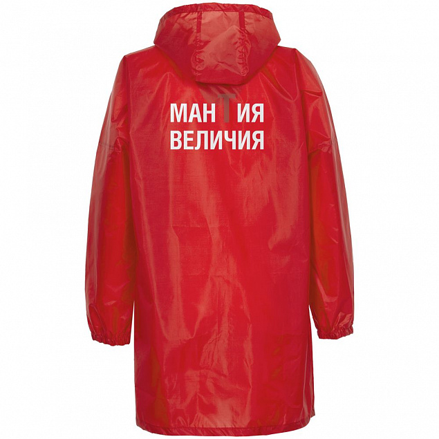 Дождевик «Мантия величия», красный с логотипом в Москве заказать по выгодной цене в кибермаркете AvroraStore