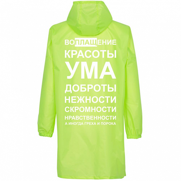 Дождевик «Воплащение всего», неоново-желтый с логотипом в Москве заказать по выгодной цене в кибермаркете AvroraStore
