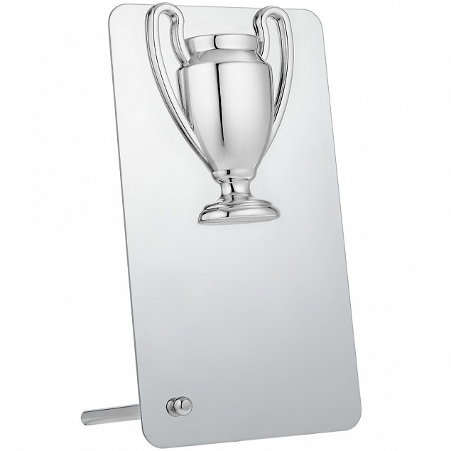Награда Bowl Silver с логотипом в Москве заказать по выгодной цене в кибермаркете AvroraStore