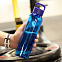 Бутылка пластиковая для воды SPORTES - Синий HH с логотипом в Москве заказать по выгодной цене в кибермаркете AvroraStore