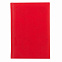 Ежедневник City Winner, А5, датированный (2022 г.), красный с логотипом в Москве заказать по выгодной цене в кибермаркете AvroraStore
