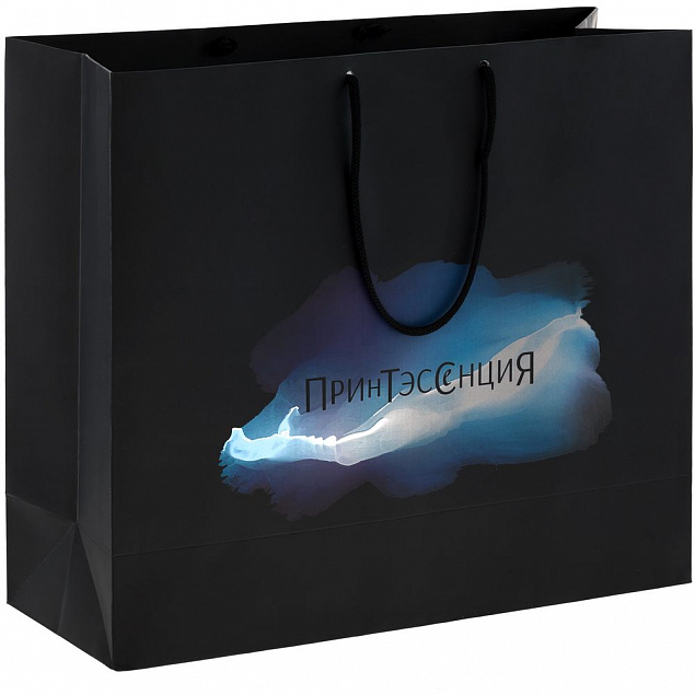 Пакет Essence Color, черный с логотипом в Москве заказать по выгодной цене в кибермаркете AvroraStore