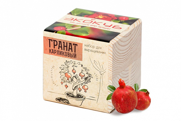 Набор для выращивания «Экокуб», гранат с логотипом в Москве заказать по выгодной цене в кибермаркете AvroraStore